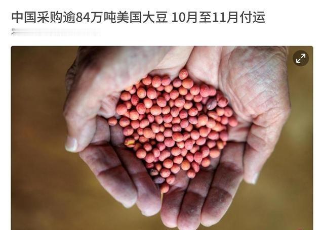 中美两国谈妥了！中美之间可能有大事发生！8月1日，根据联合早报报道，两名美国交易