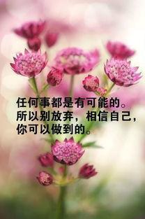 最想对自己说的一句激励的话是什么逆风翻盘的从来不是运气，是你咬碎牙也要扎根的样子