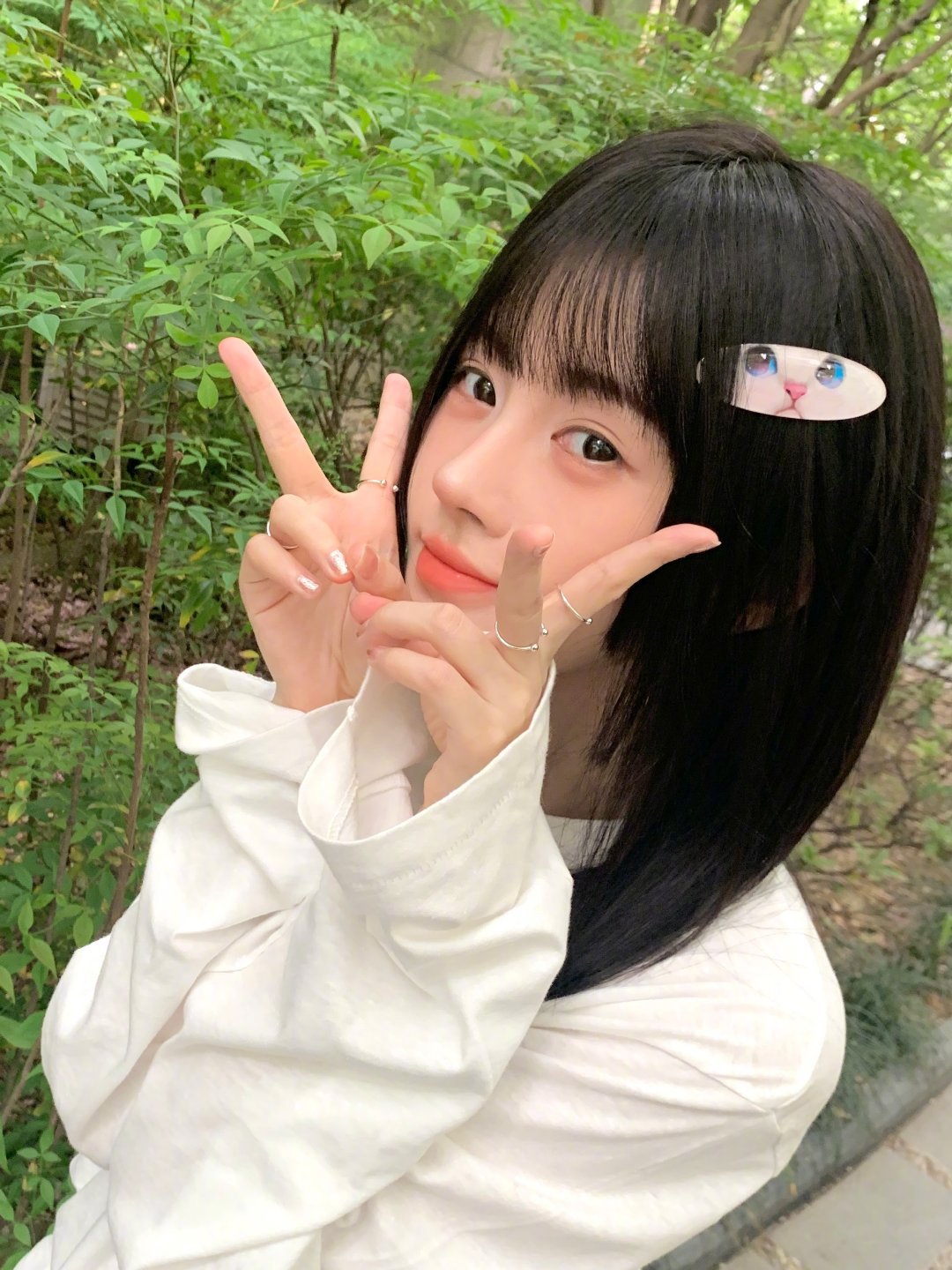 【鞠婧祎】小猫的发夹还是小猫 ​​​