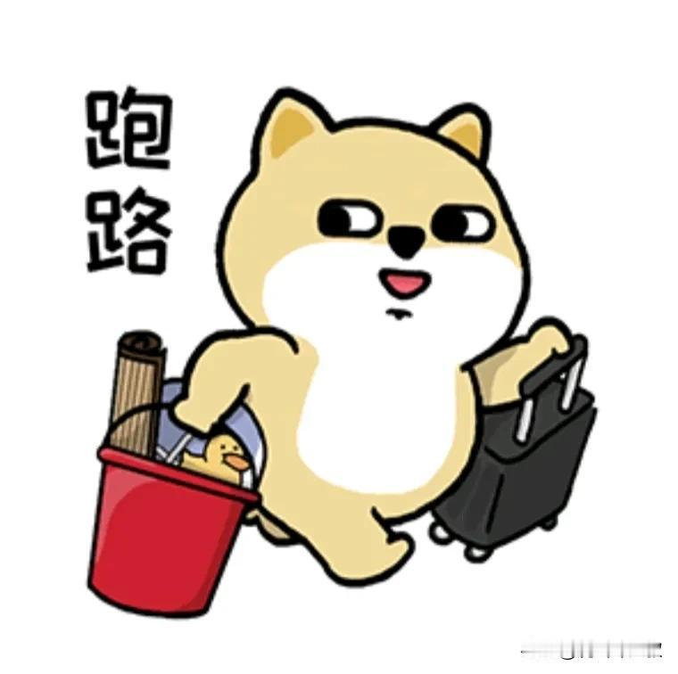 #生活中的焦虑时刻#
九月回归，回归个锤子。
大人，我给你支个招。
每年五月的某