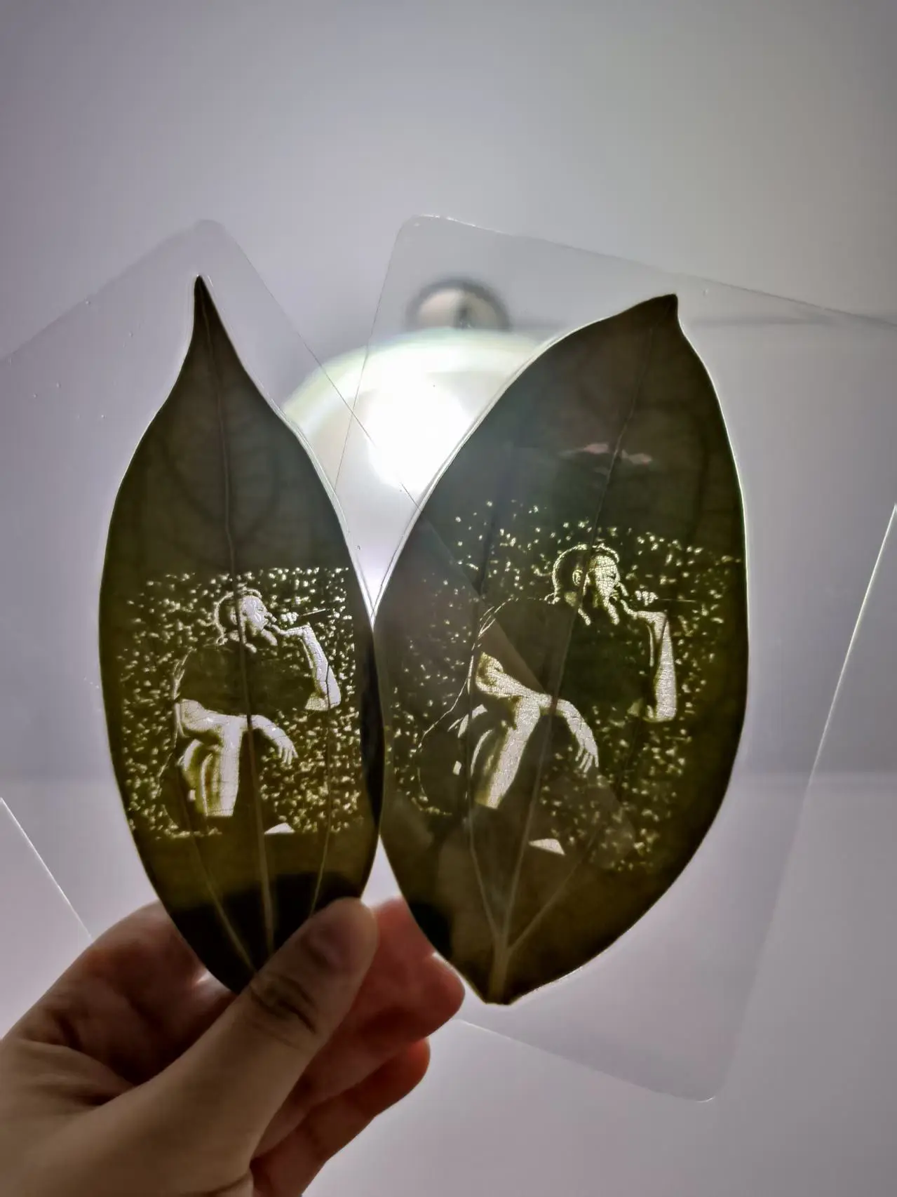 捉45个宝宝，抱走梦龙