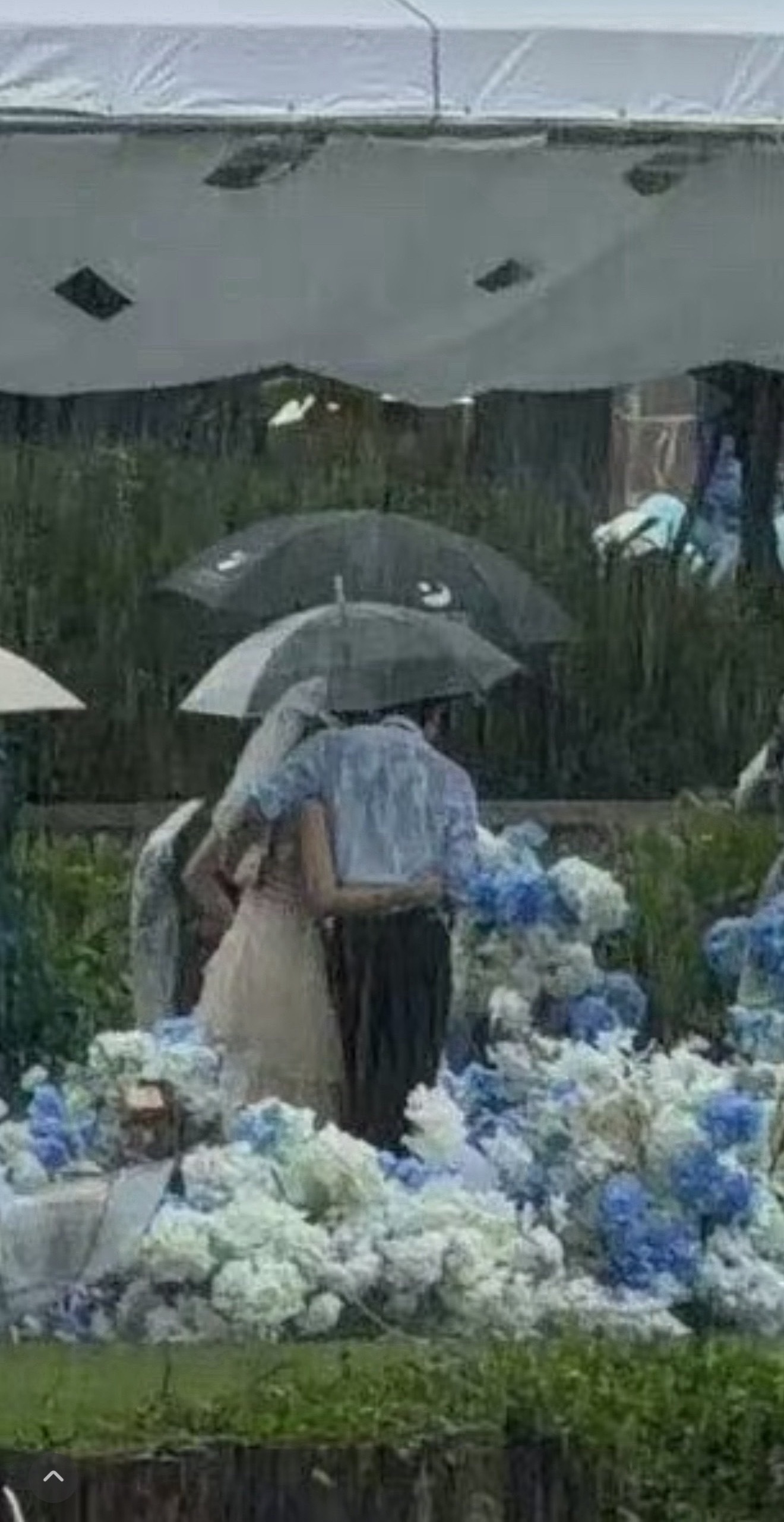 雨爱的秘密….啊啊啊啊啊野狗骨头的雨中婚礼对我是不是太好了野狗骨头雨中婚礼路透宋