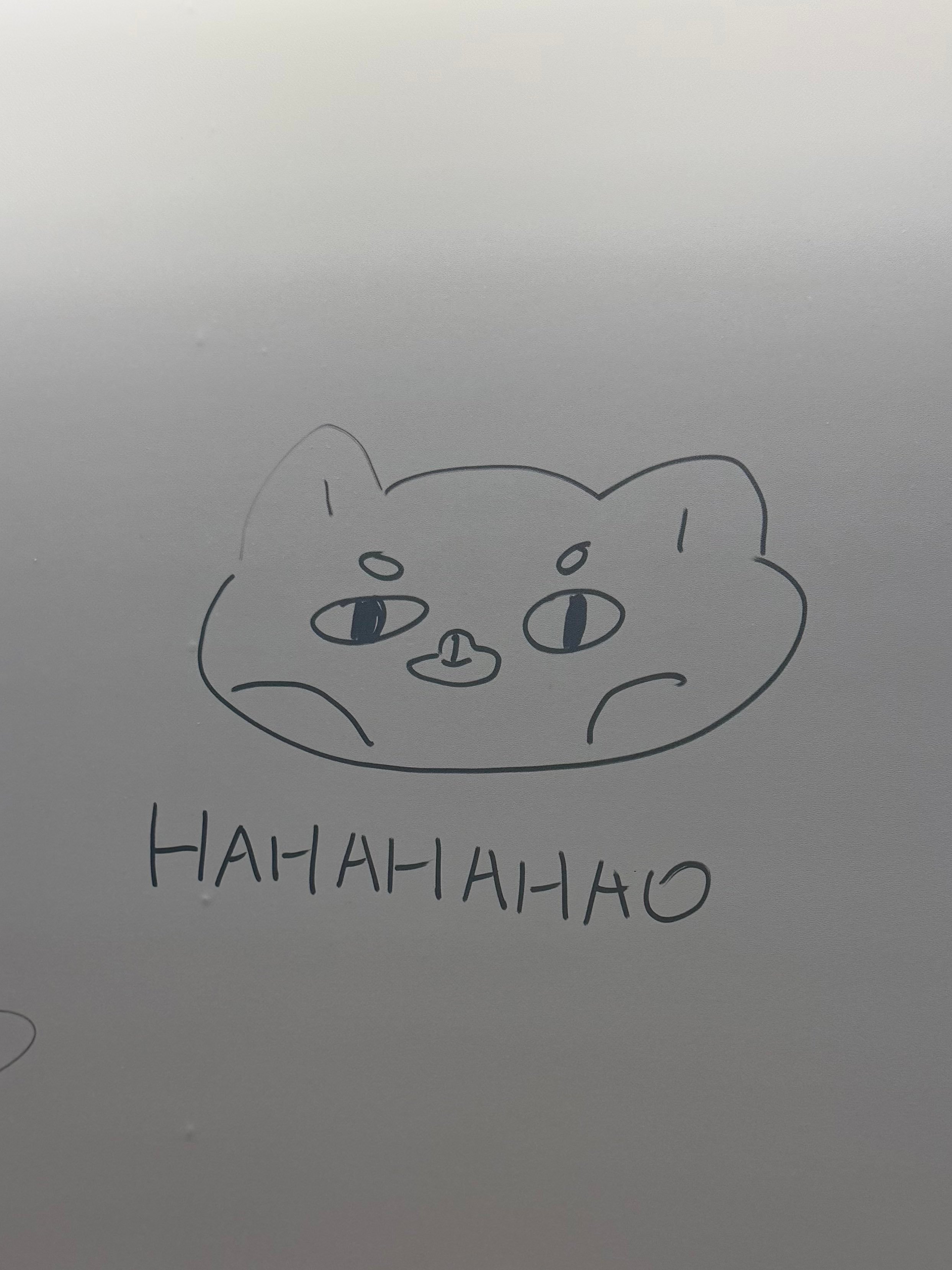 画完h4o大人并留下痕迹后溜走的某浣熊🦝💨 ​​​