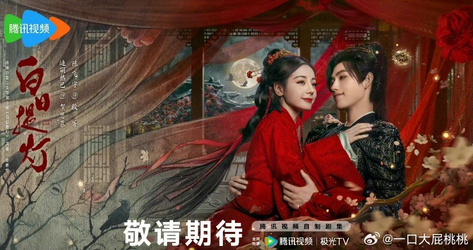 明天定档两部，白日提灯、家事法庭 