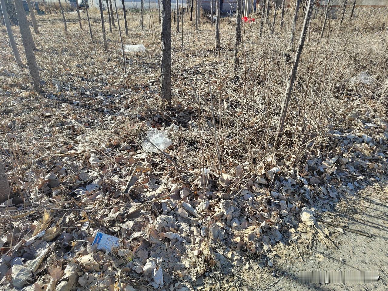 不过话又说回来，在野外焚烧树叶确实挺危险的，比如前些年我家都树林就因为有人在野外