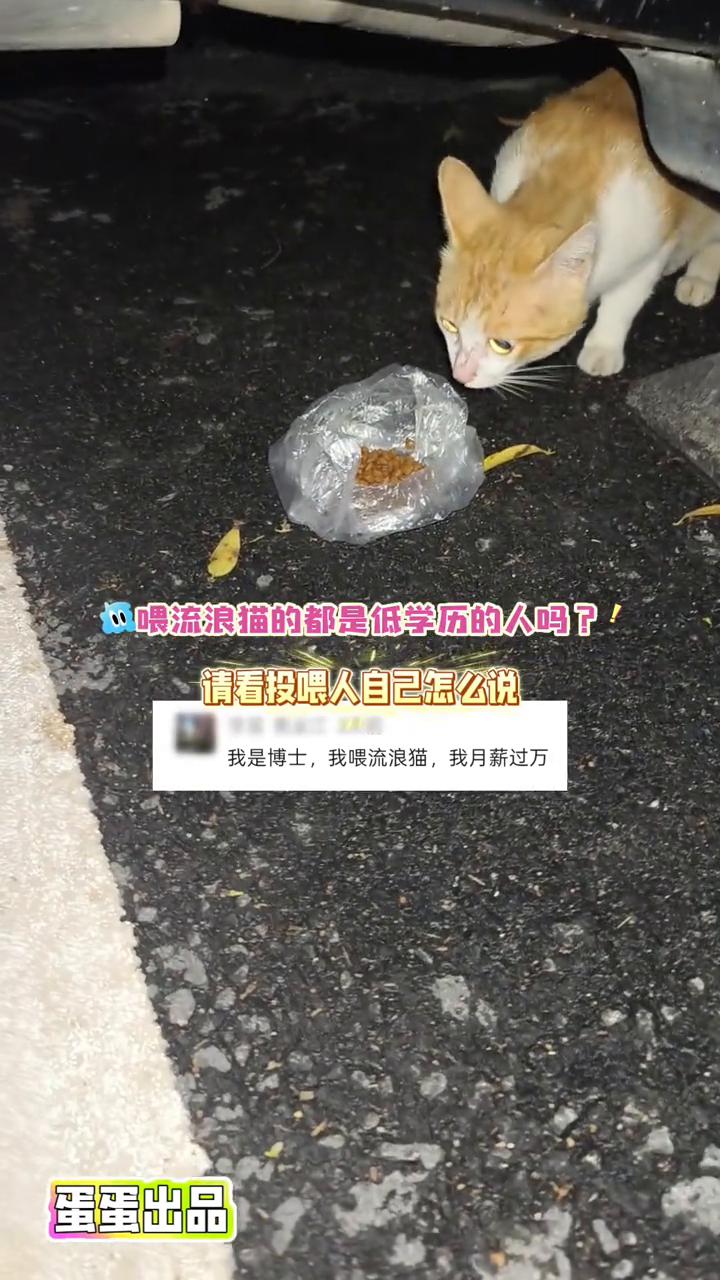 喂流浪猫的都是低学历的人吗？请看投喂人自己怎么说。
我是博士，我喂流浪猫，我月薪