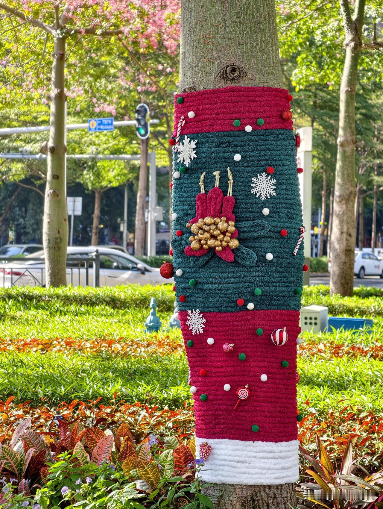 路边的树和雪糕筒穿上毛衣了。