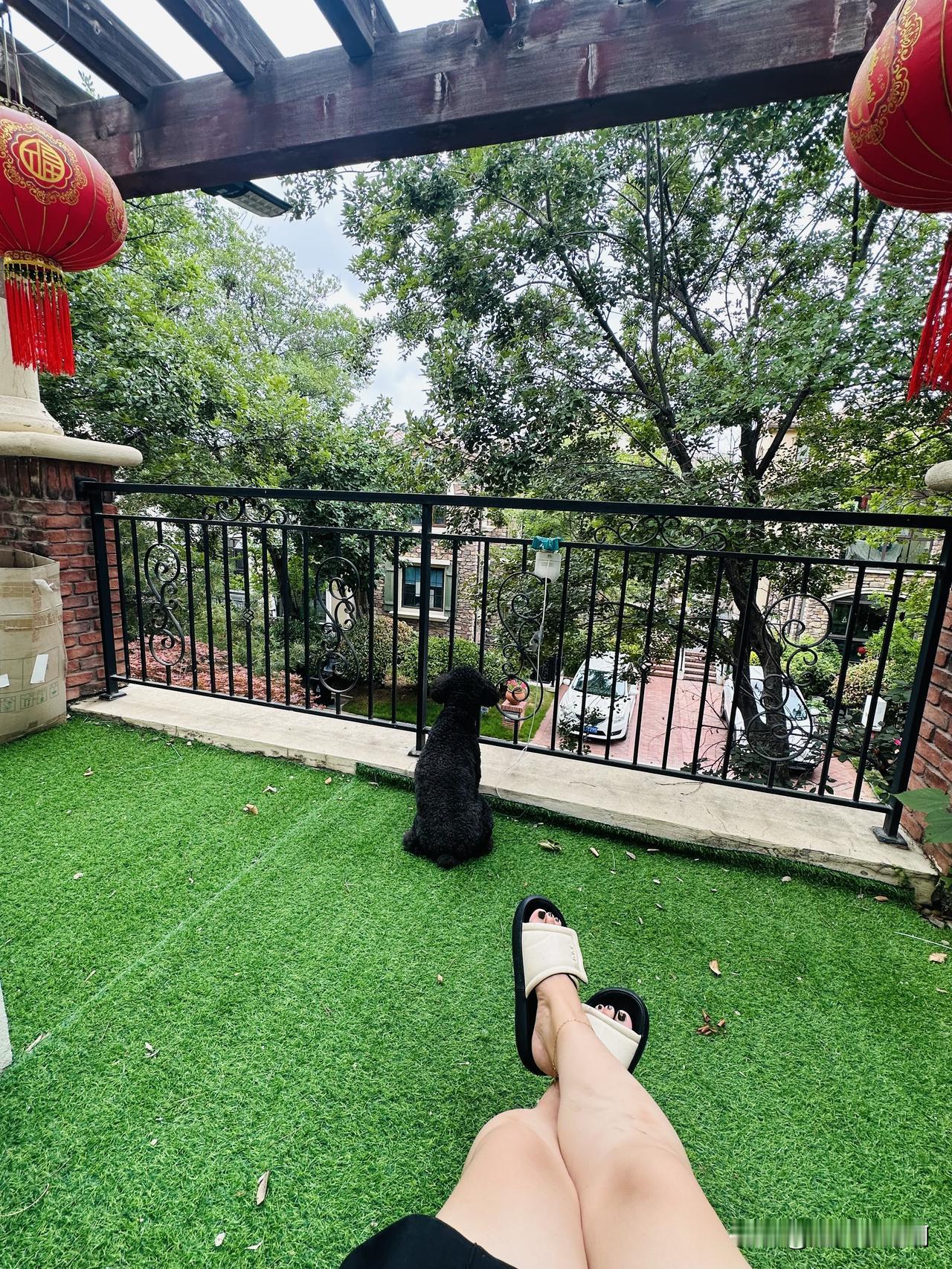 终于把上午这一阵忙完了。
真的是手忙脚乱的。
大部分都是崂山茶回购的，都回馈比去