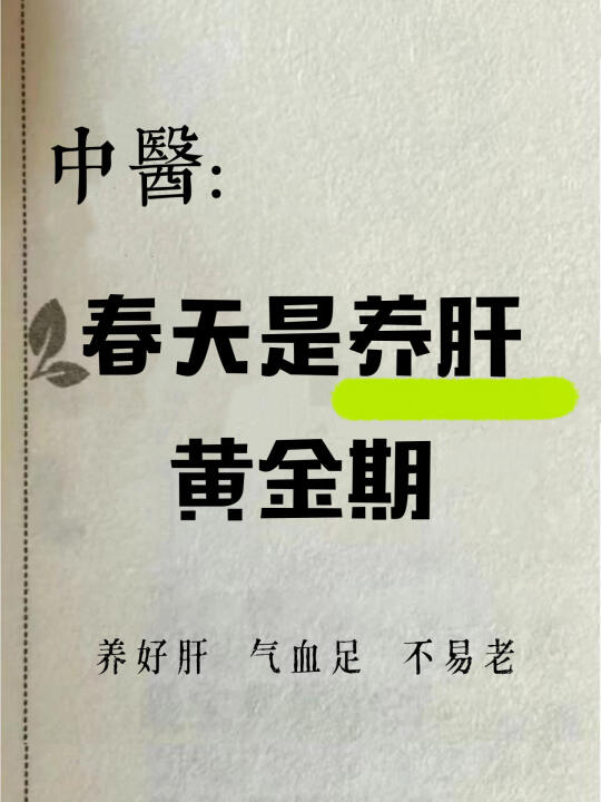 40岁+养气血｜春季养肝就是养气血🔥🔥