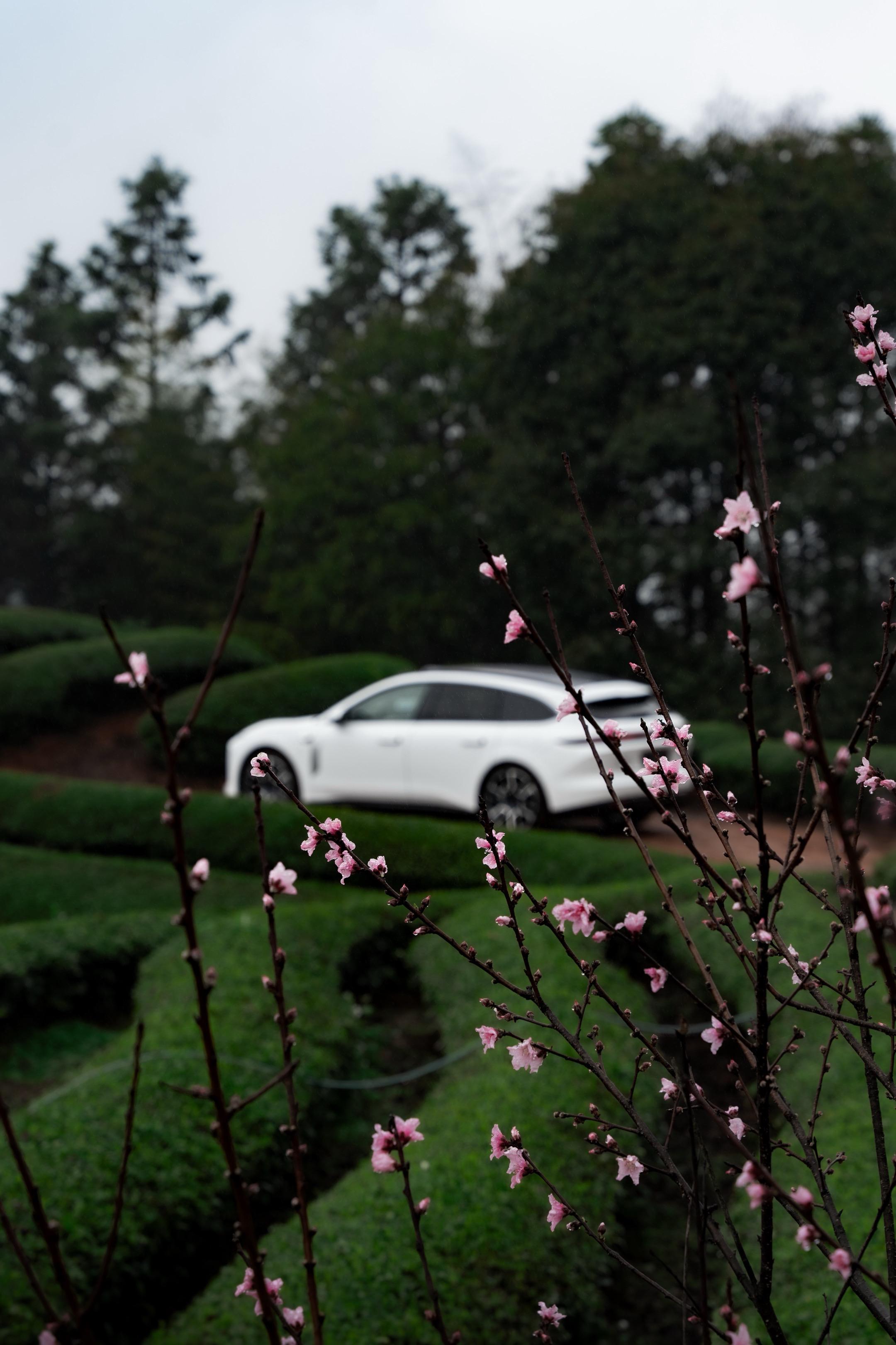 高智审美，正在成为一种日常