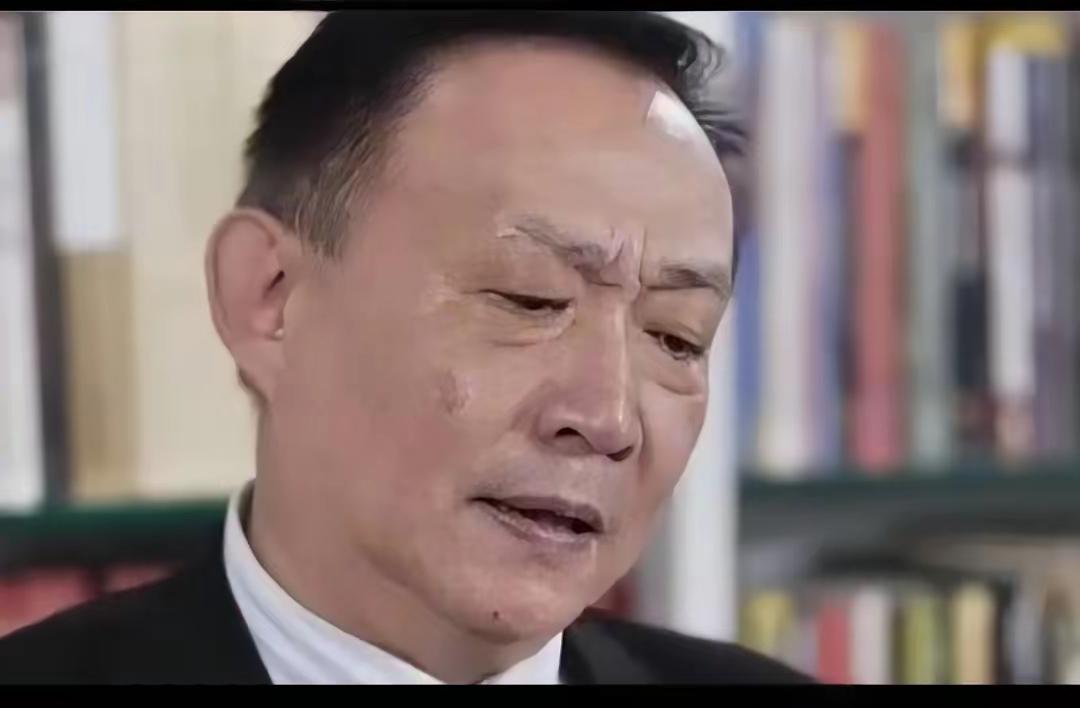 著名经济学家卢麒元强烈呼吁：严查网络短剧，这些短剧内容夸张，动不动就是云城江城首