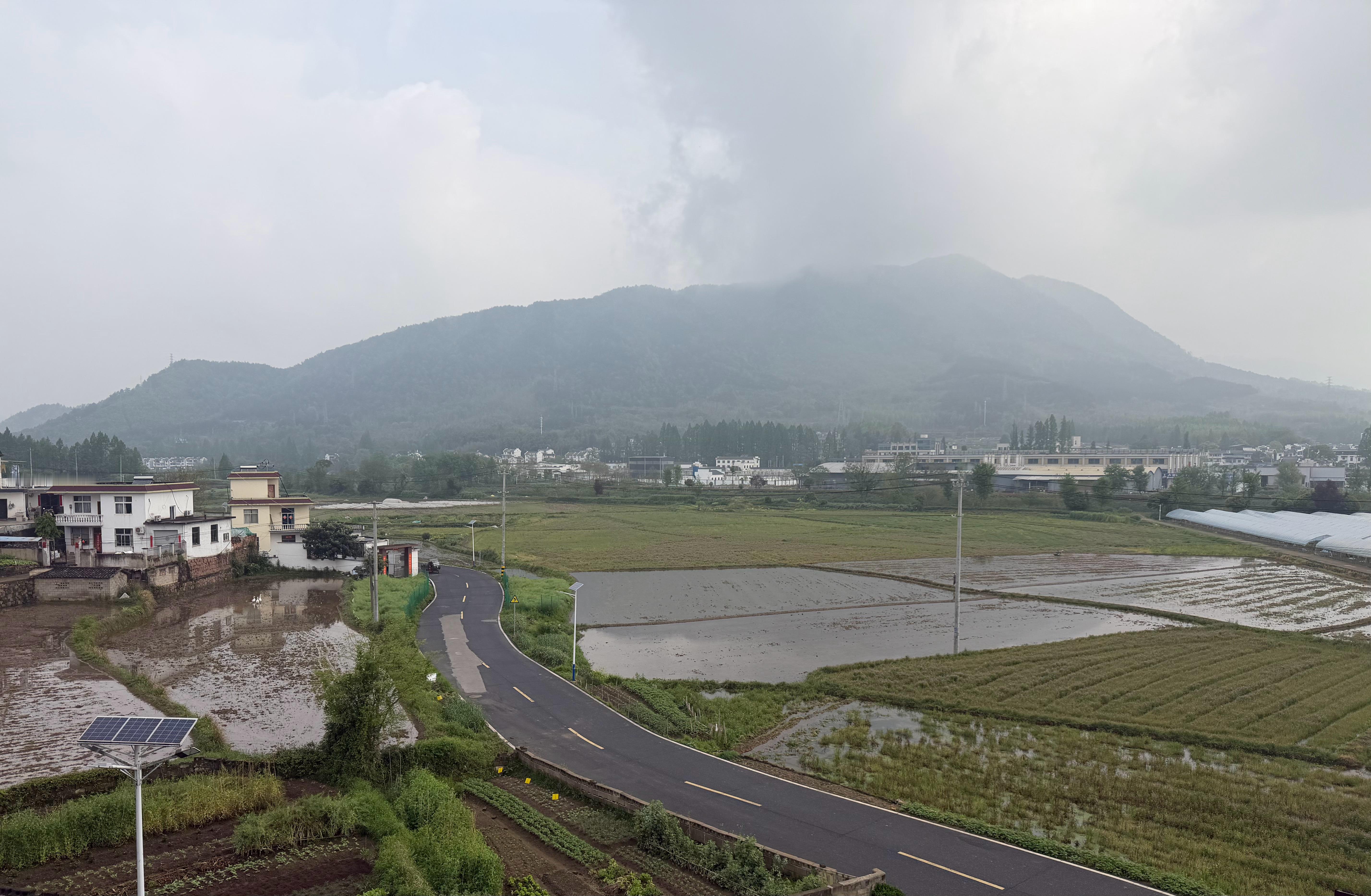 一年一度的插秧季节又快到了。