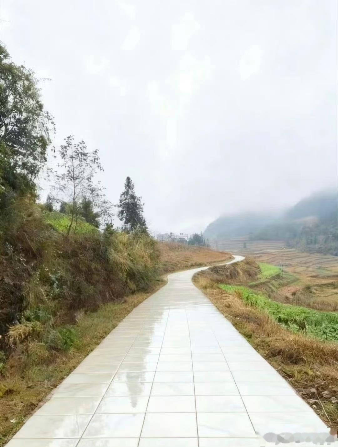 这就是我活了三十年竟选村长的底气 ​​​