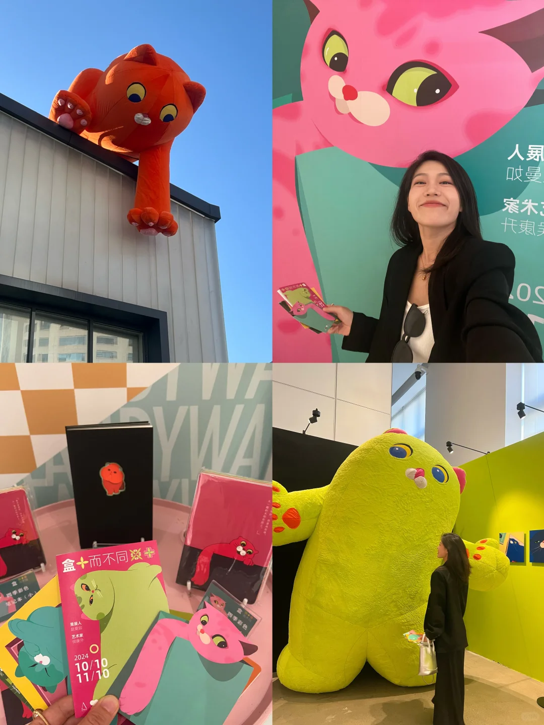 济南新展🐱jujuju可爱猫咪！！！📍579百工集