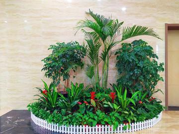 睡前玩手机，半年内睡眠将出现6大变化
睡前刷手机已成为很多人的日常操作，大家总觉