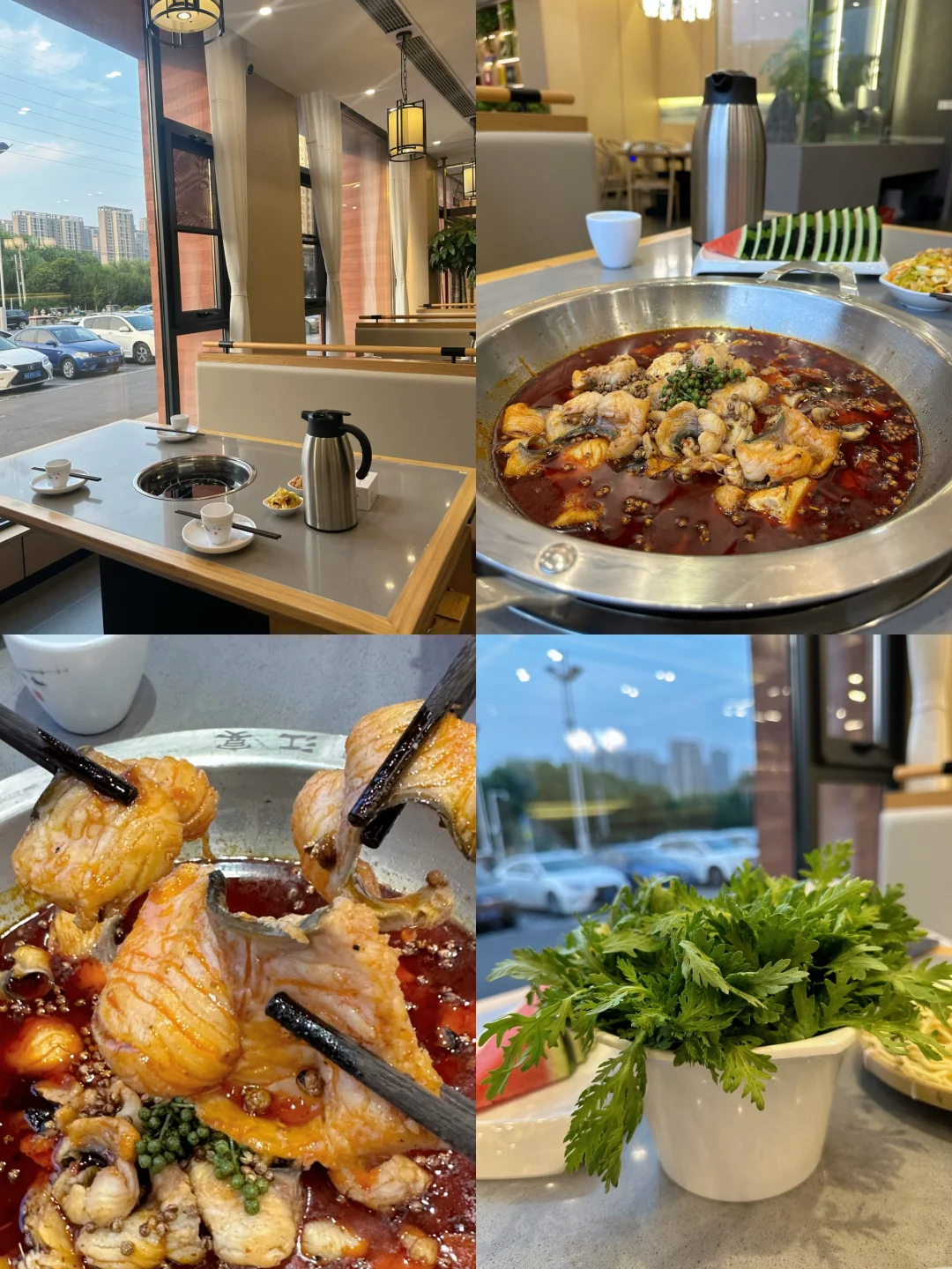 这家鱼也太巴适了吧！！！ 又麻又辣👅