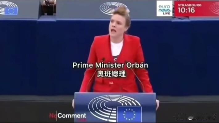 奥班总理？其实指的是原匈牙利总理欧尔班，只是翻译称呼有所不同。

在一场欧洲议会