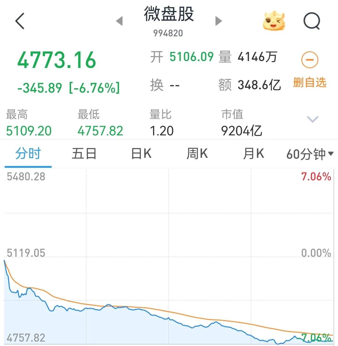 暴跌！发生了什么？
       12月23日收盘，微盘股暴跌6.76%，原因如