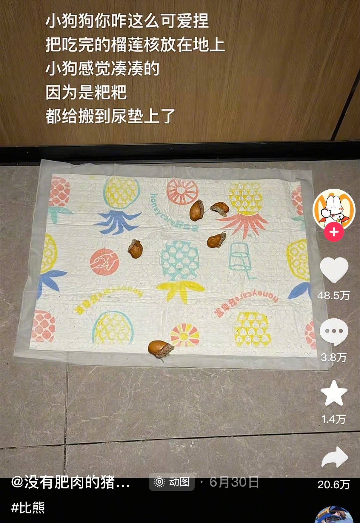 世界上最萌的评论区出现了 ​​​