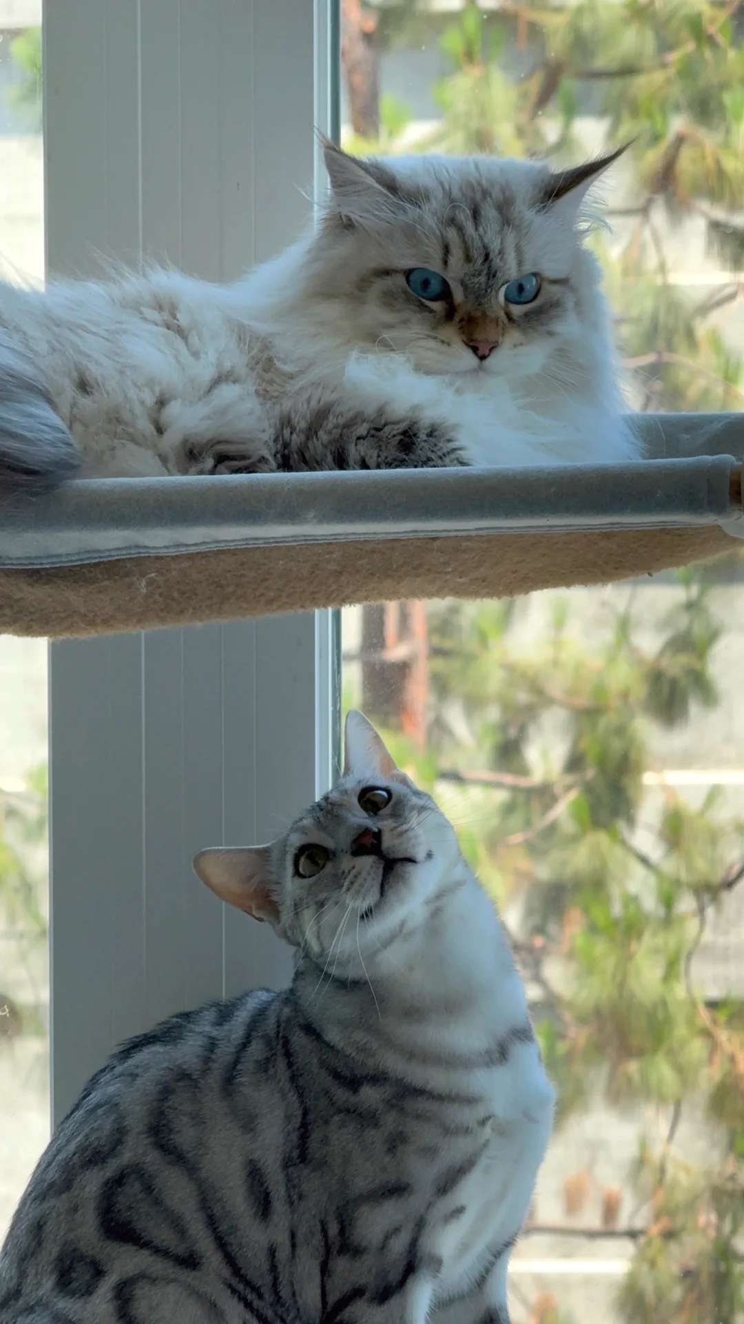 祝帅气干儿生日快乐！右滑看和啵的相爱相杀