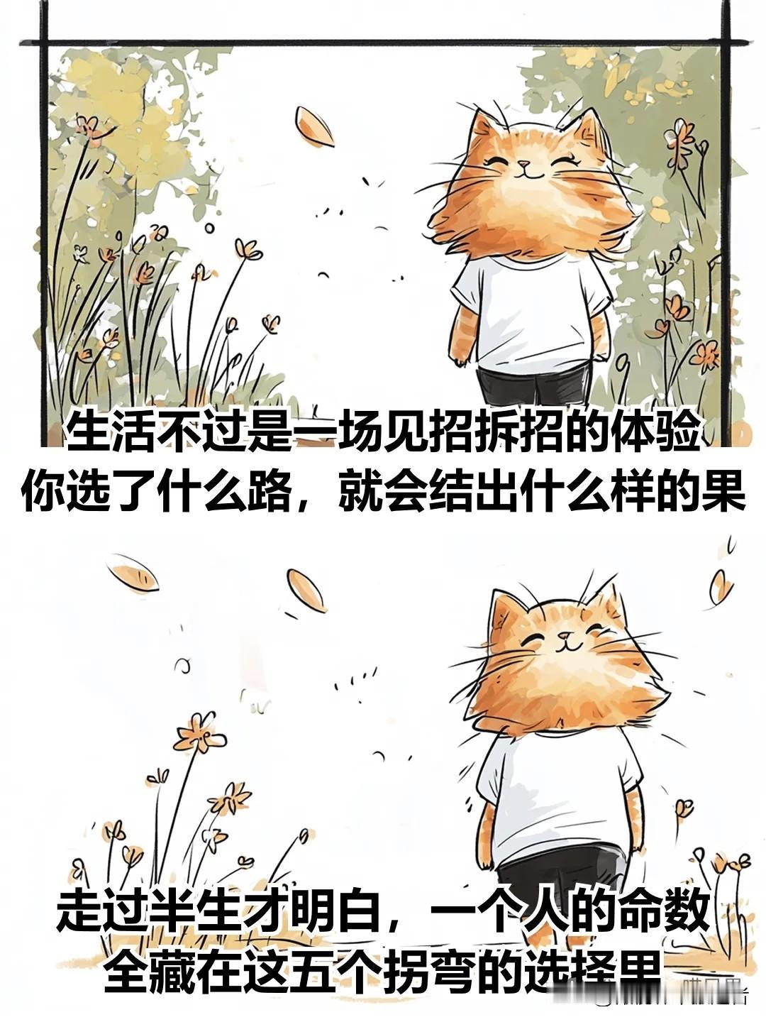 治愈漫画 I 一个人的命，藏在这5个选择里漫画治愈自己 便携式治愈漫画 温柔治愈