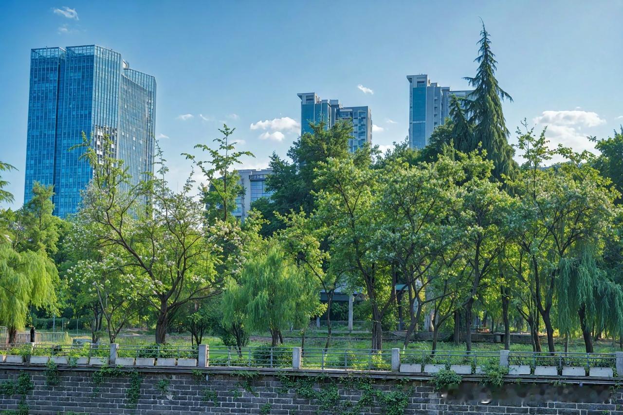 在繁华都市中，城市绿洲就像喧嚣里的宁静港湾。身处高楼林立的环境，本以为只能看到冰