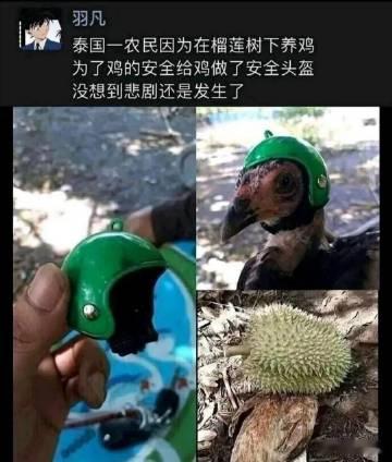 没想到悲剧还是发生了 ​​​