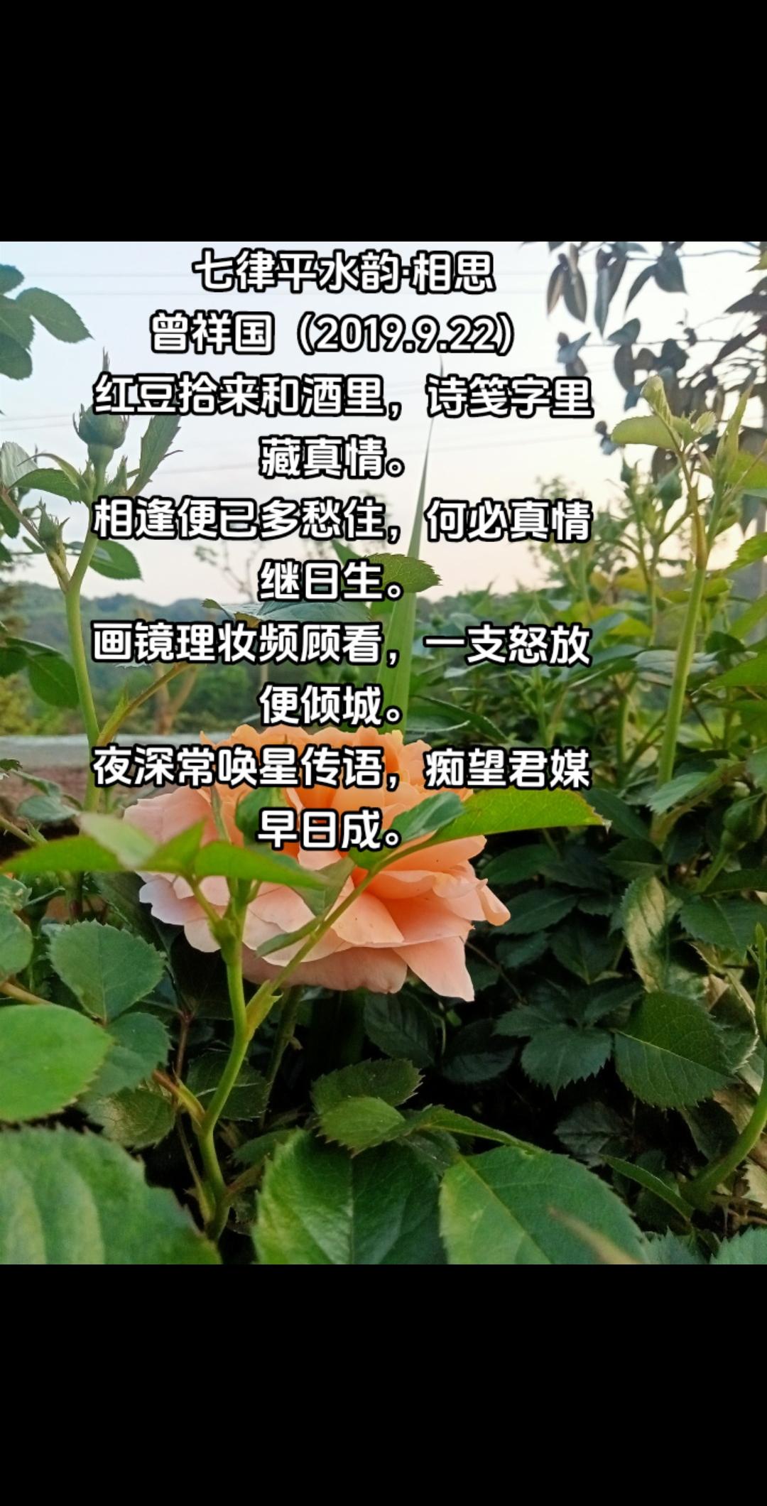 相思