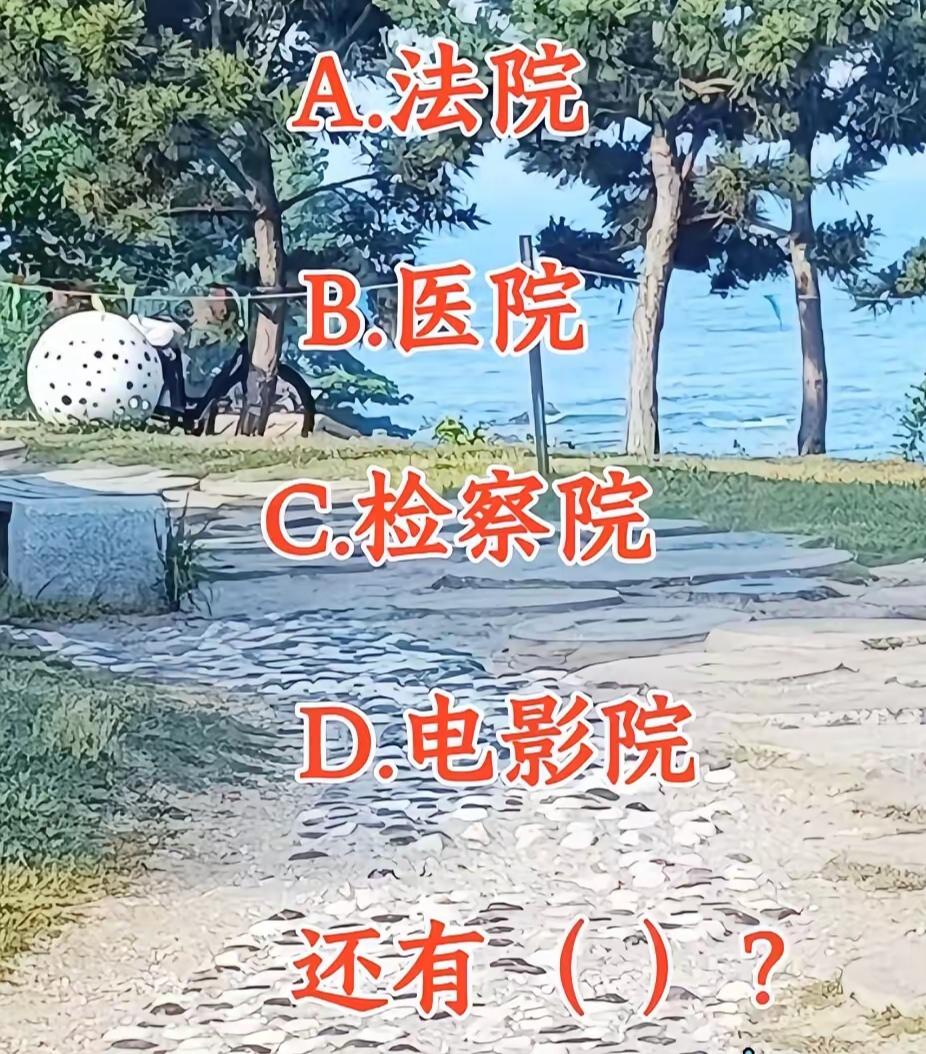 除这些外，我国还有哪些“院”请补充？