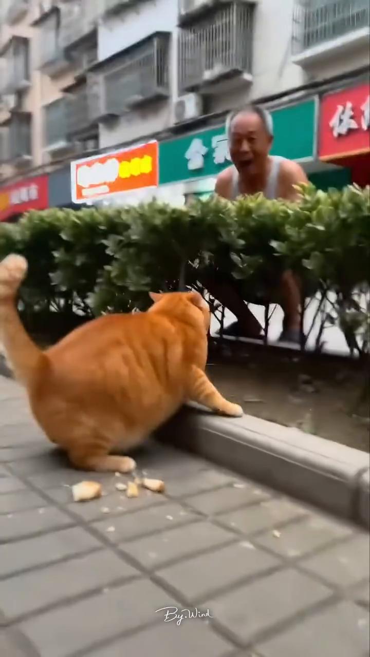 哇，哈哈。