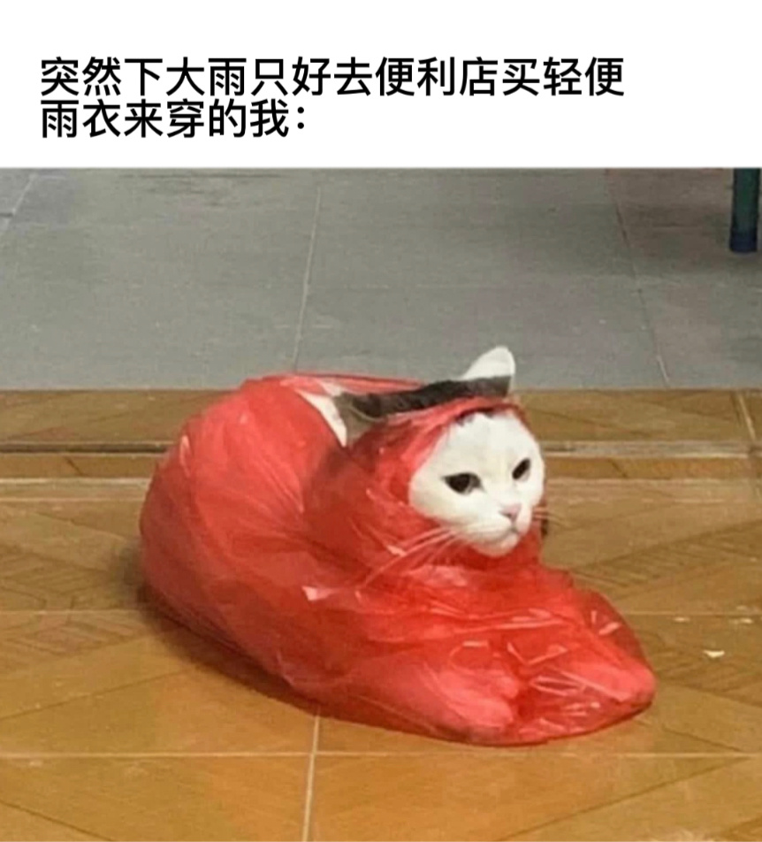 应急#今日memes##我的幽默搭子##定格# ​​​