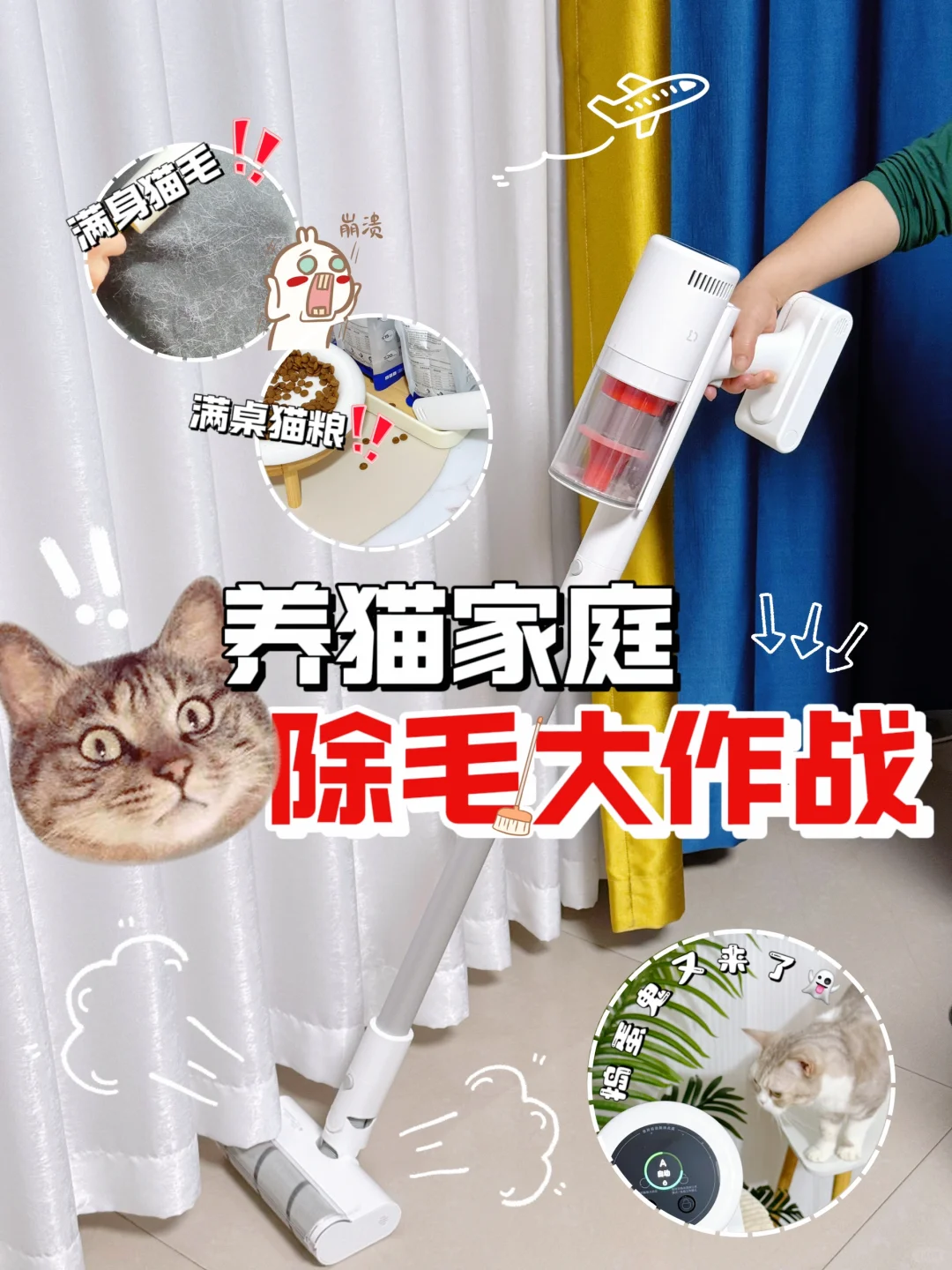 养猫家庭除毛大作战❗❗简直太太痛苦了😭