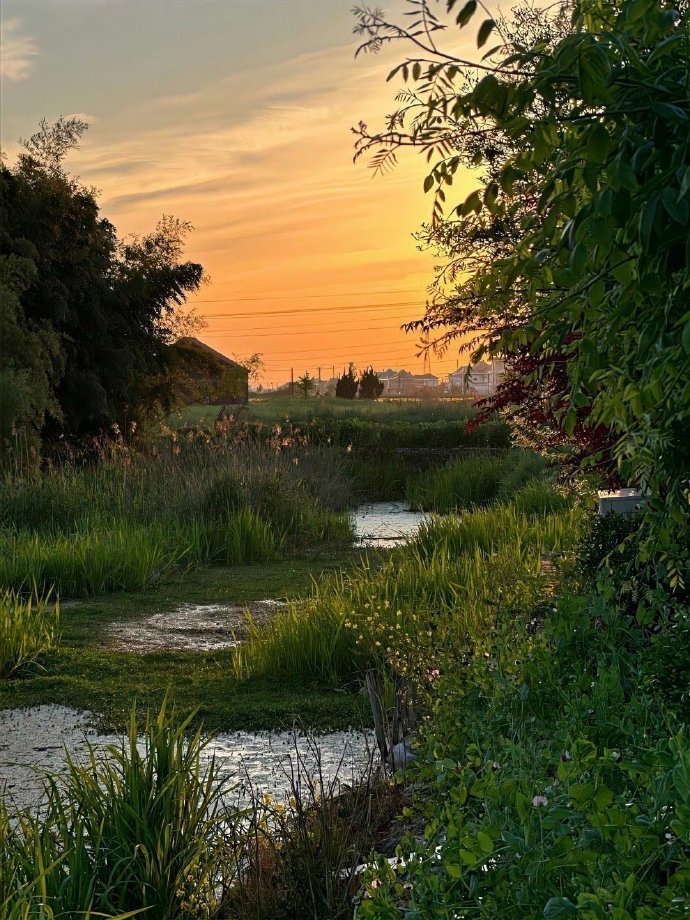 傍晚,夕阳,农村,平凡生活！  