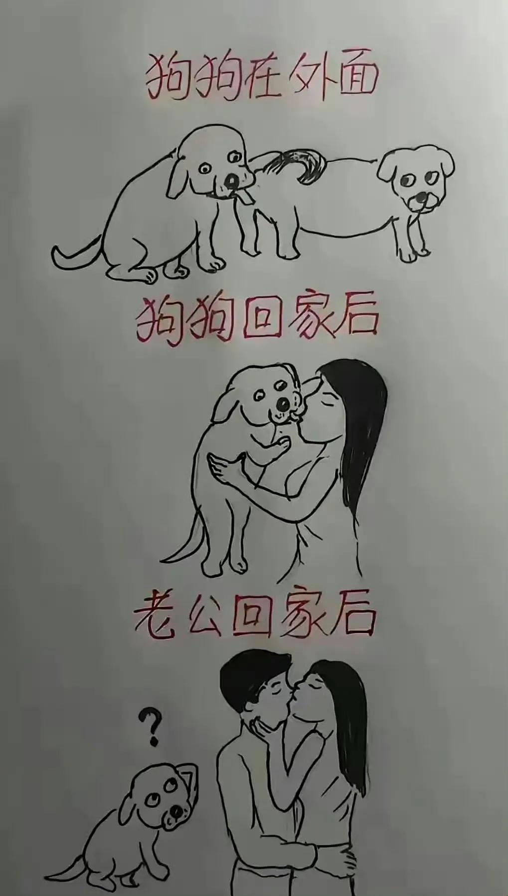 这图画得有点过分了吧？