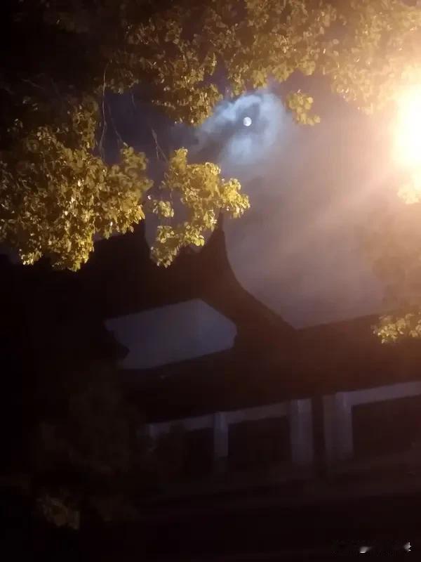 穿前明月光
屋里亮堂堂
静坐可思量
思绪就飞扬