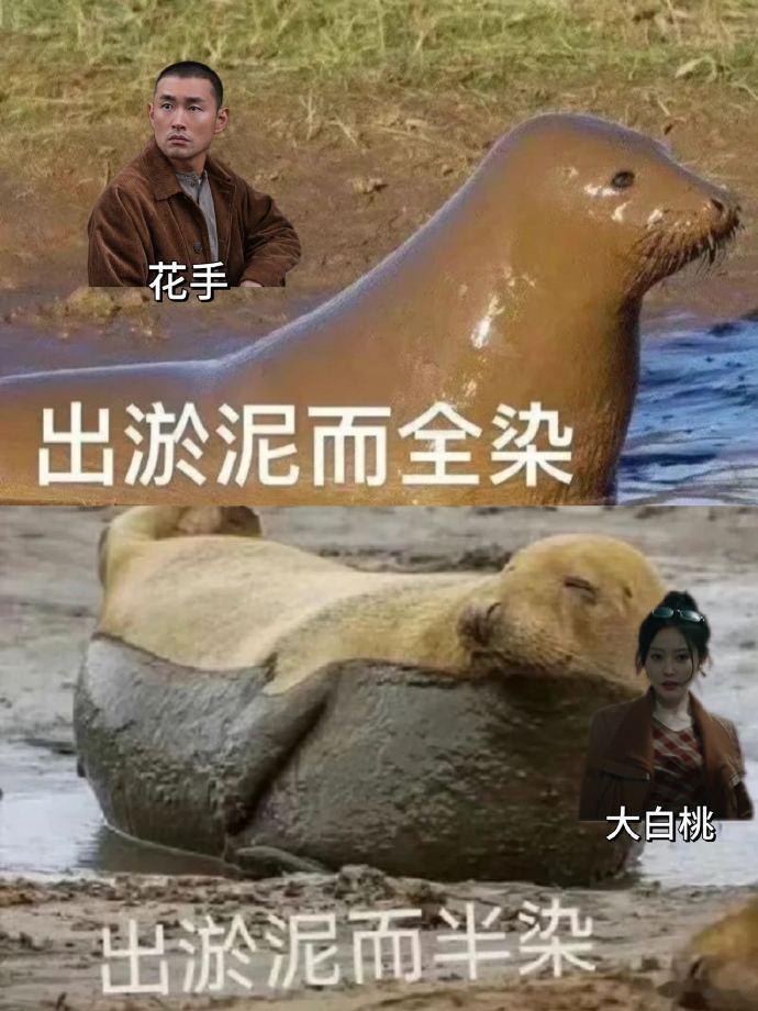 王彦霖花手出淤泥而全染 看《毕正明的证明》被王彦霖的“花手”狠狠戳中！从被四爷相