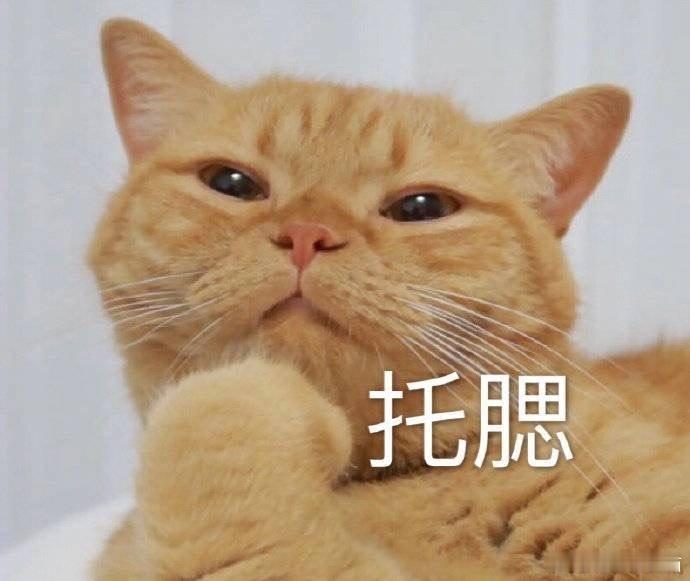 #为什么职场年轻人想喝酒#现在的职场已不同往昔了，压力真的大的很，年轻人又是一种