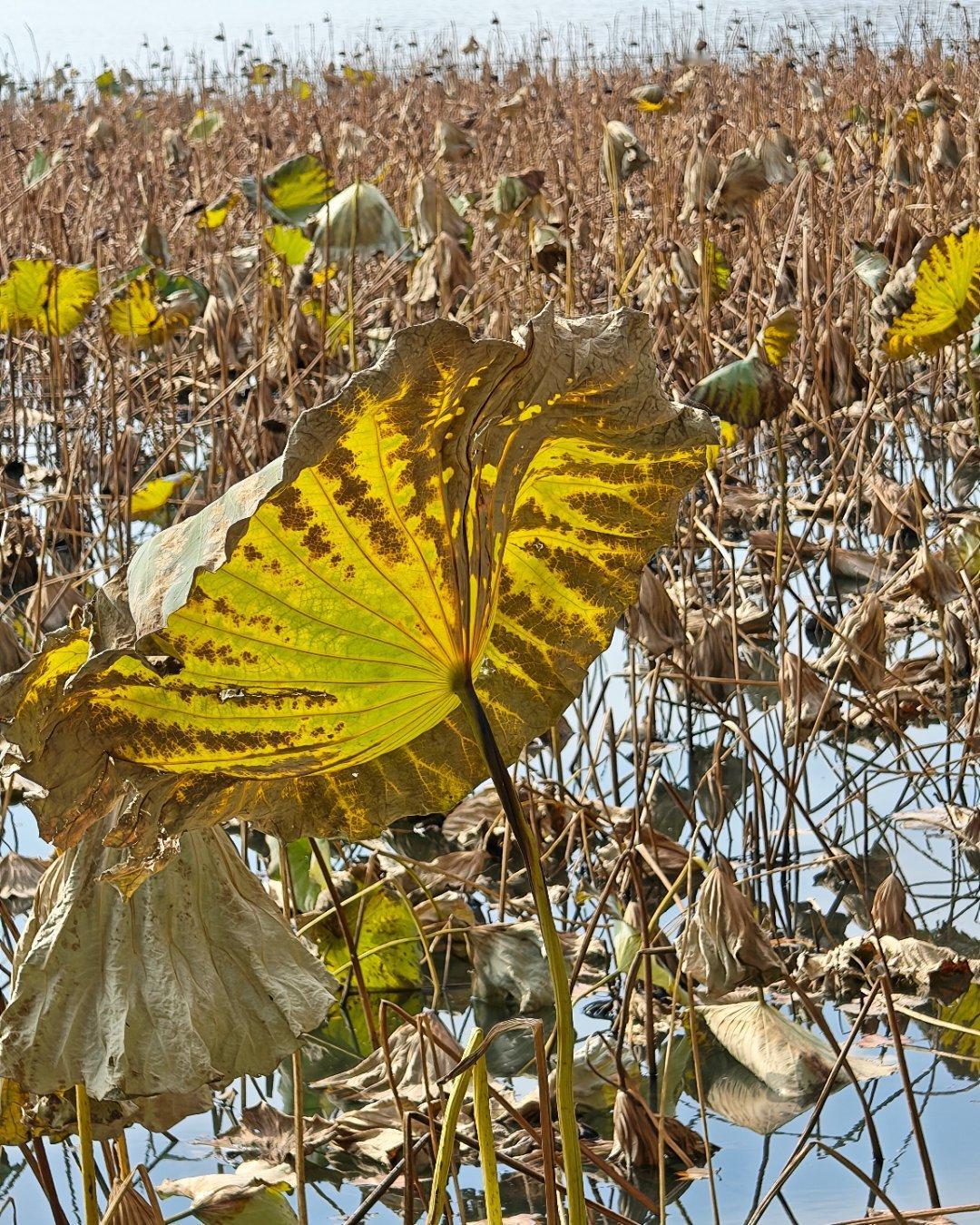 早呀！2月的第二天。迎着太阳向前冲每天早起打卡