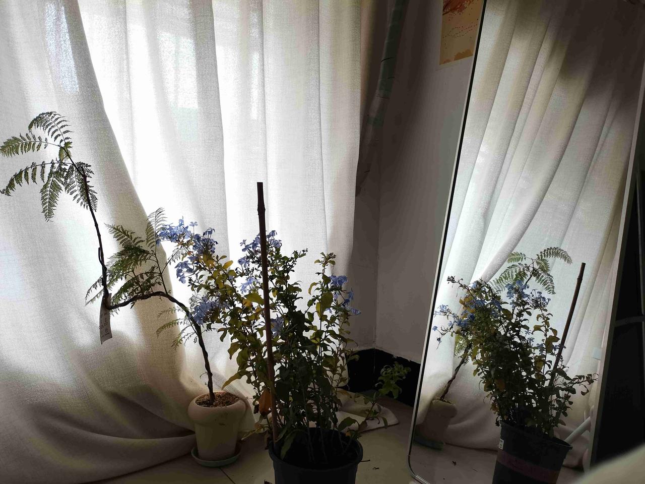 高中哥哥下午给我发信息，
我情绪又有点受波动了，
下班回来狂虐肉体。

台风影响