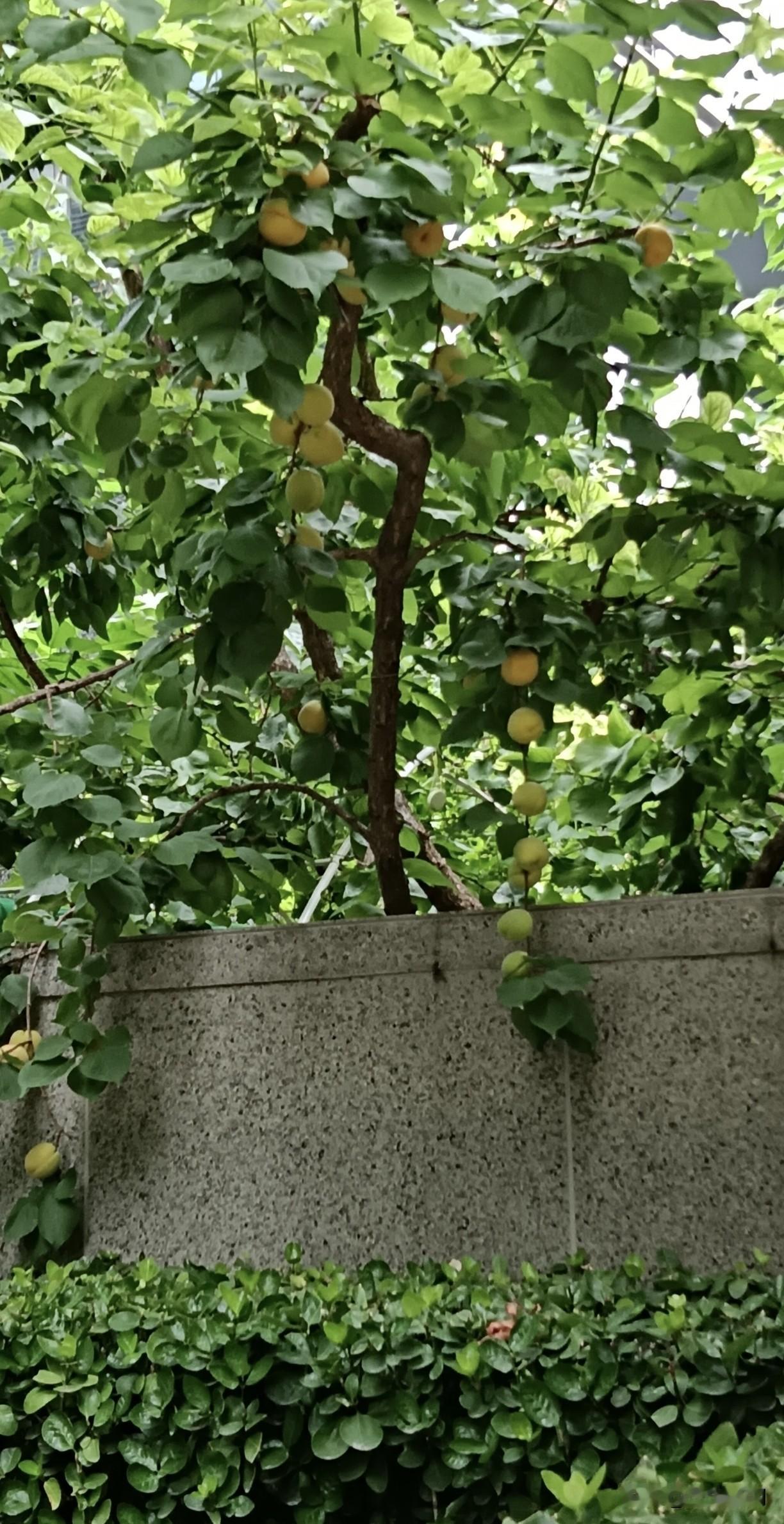 她太不顺了，今年她36岁，这个年纪，也不小了，遇人不淑，感情屡屡受挫。
 
但说