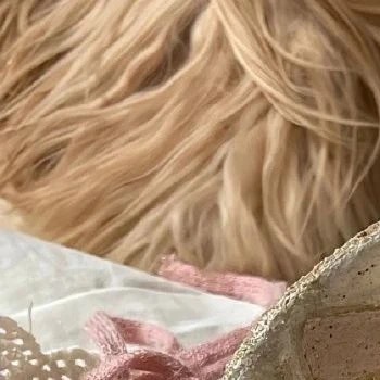 🌺♡𝕓𝕖 𝕙𝕒𝕡𝕡𝕪 ʚ·͜·°ɞc且听且忘且随风，且行且看且从