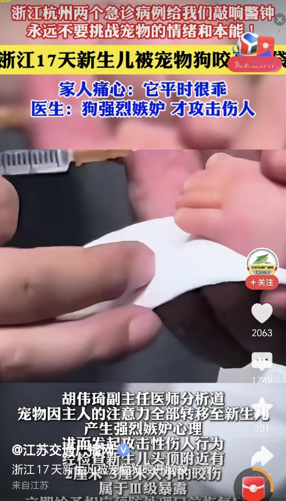 狗都成精了，因为现在的狗主人是真的把狗当成家庭成员在照顾，不像以前的狗只用来看家