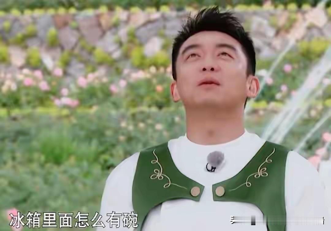 白鹿要不咱还是走吧，你又不欠跑男的。那些年你为了跑男的牺牲真的没有人在乎过。为了