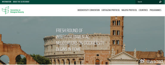 昆蒙框架落地攻坚：罗马SBI-6会议铺路COP17，全球合力破解自然融资困局20