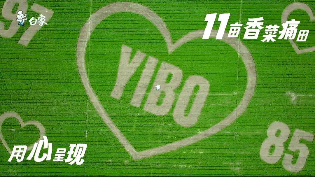 主榜rs👉🏻来加🔥安利 ​​​