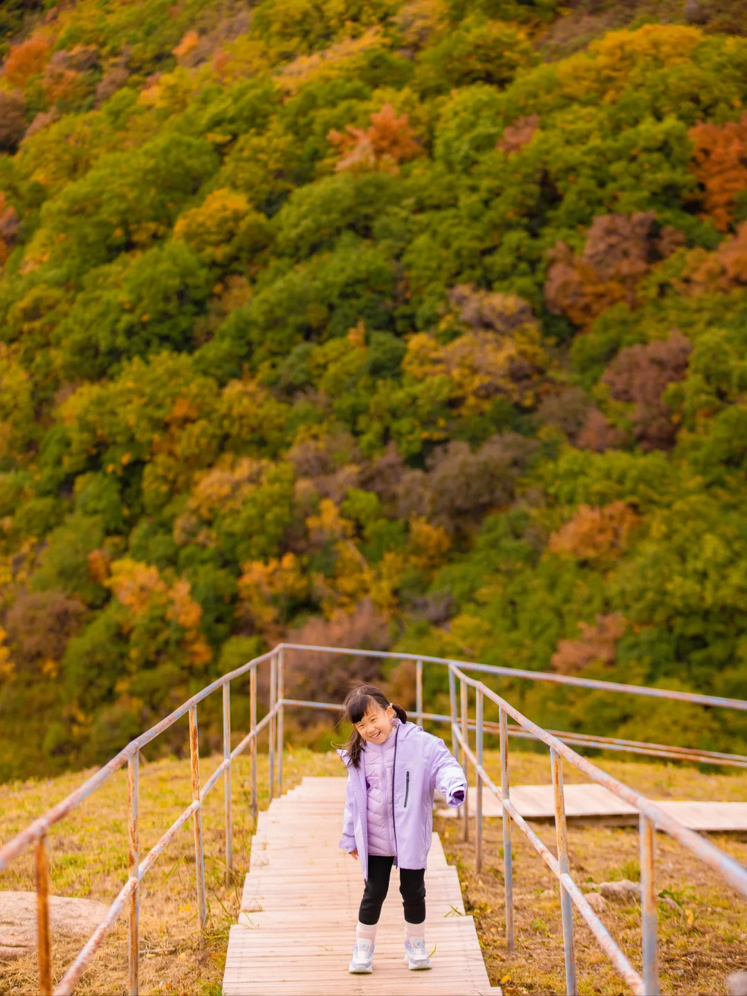 迄今为止🍂我最期待的秋日童话小镇出现了