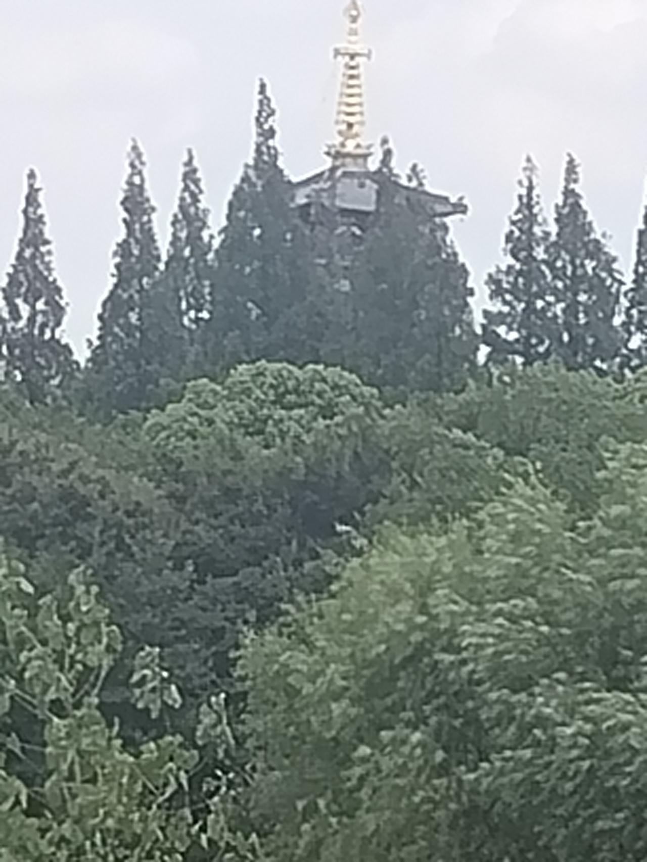 我新发布的内容被官方推荐啦！👍你也快来发布一条吧！带记录真实生活话题，更容易被
