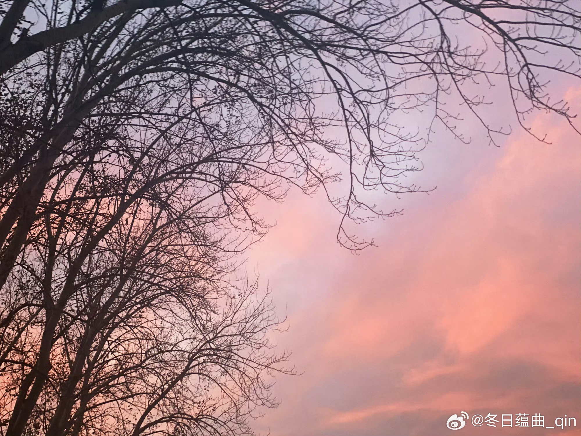 我姐姐也开始分享天空了