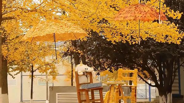 大外保洁阿姨藏不住了！银杏叶玩出“神仙操作”，校园美到犯规！
 
大连外国语大学