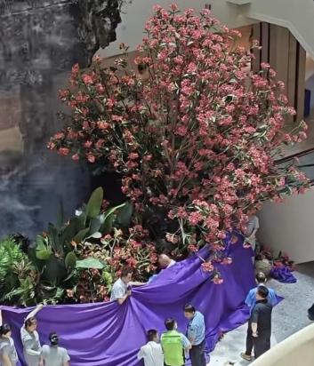 西安赛格突发：手握四百多家门店总代坠楼，后续难题待解！

7月1日西安小寨赛格出